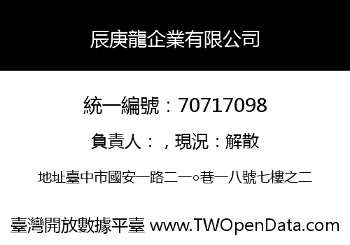 辰庚龍企業有限公司