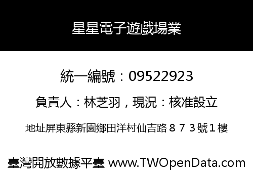 星星電子遊戲場業