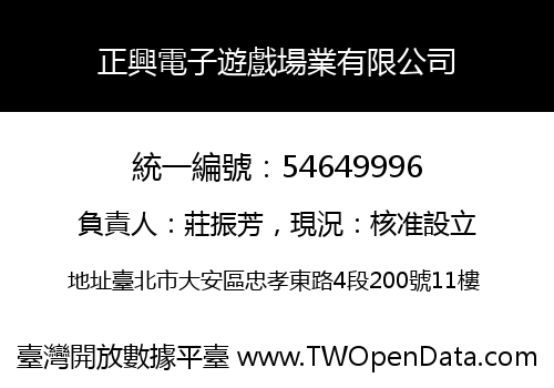 正興電子遊戲場業有限公司