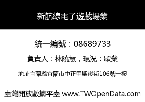 新航線電子遊戲場業