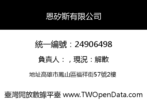 恩矽斯有限公司