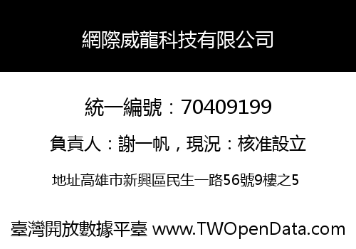 網際威龍科技有限公司