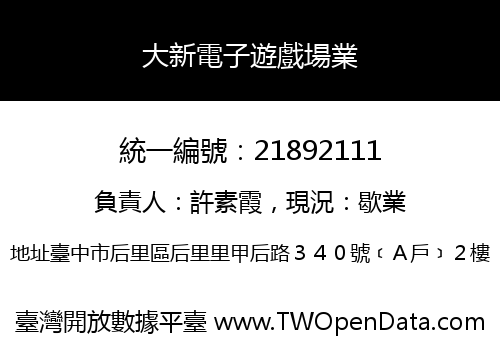 大新電子遊戲場業