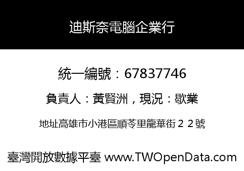 迪斯奈電腦企業行