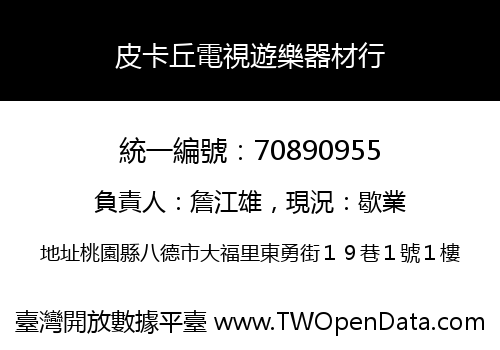皮卡丘電視遊樂器材行