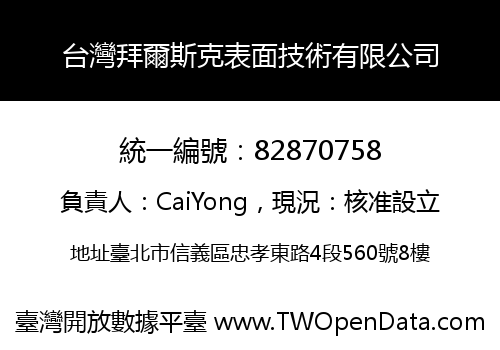 台灣拜爾斯克表面技術有限公司