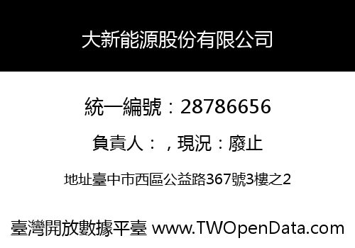 大新能源股份有限公司