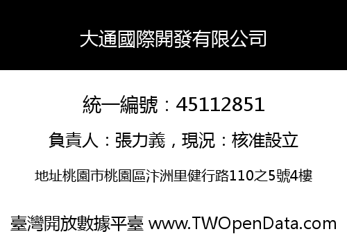 大通國際開發有限公司