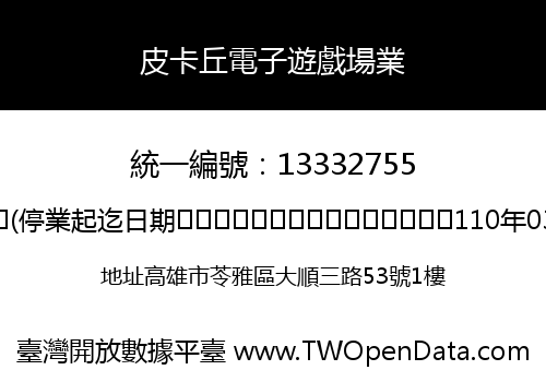 皮卡丘電子遊戲場業