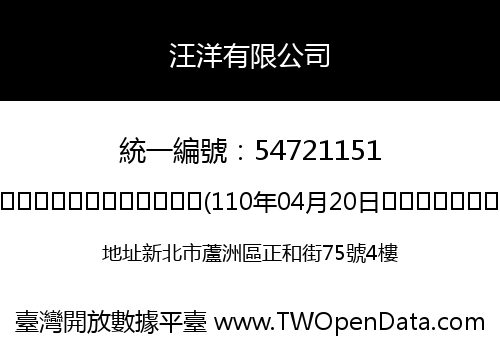汪洋有限公司