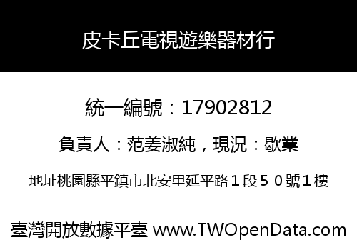 皮卡丘電視遊樂器材行