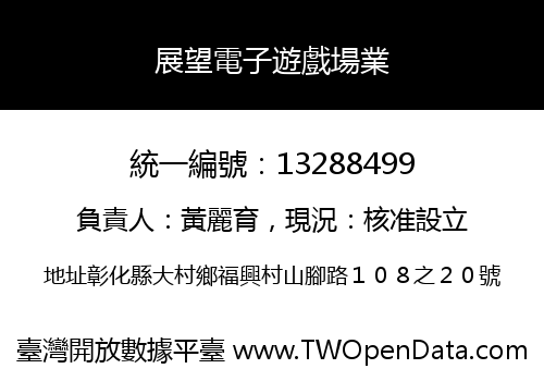 展望電子遊戲場業