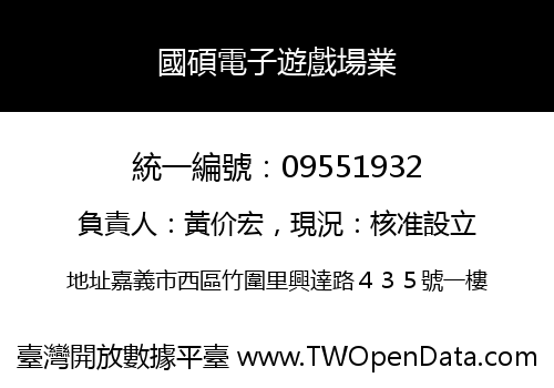 國碩電子遊戲場業
