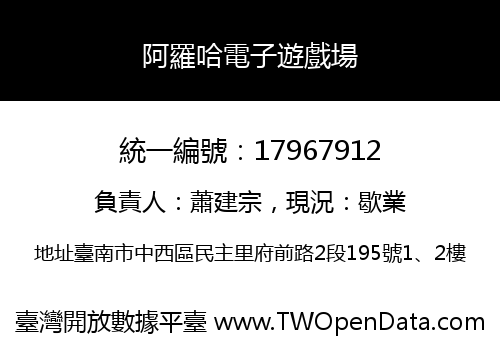 阿羅哈電子遊戲場
