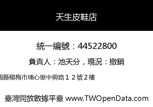 天生皮鞋店