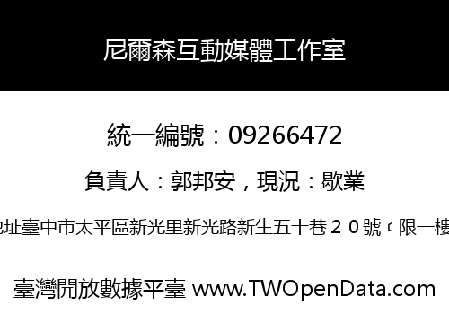 尼爾森互動媒體工作室