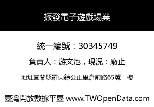 振發電子遊戲場業