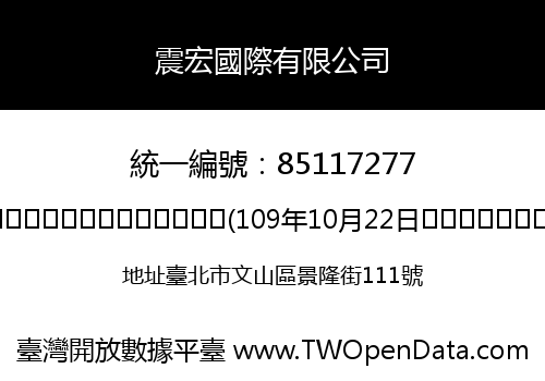 震宏國際有限公司