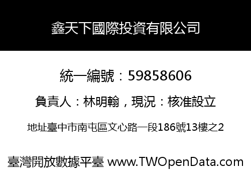鑫天下國際投資有限公司