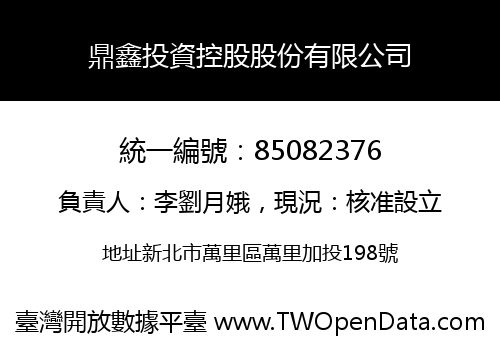 鼎鑫投資控股股份有限公司