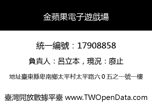 金蘋果電子遊戲場
