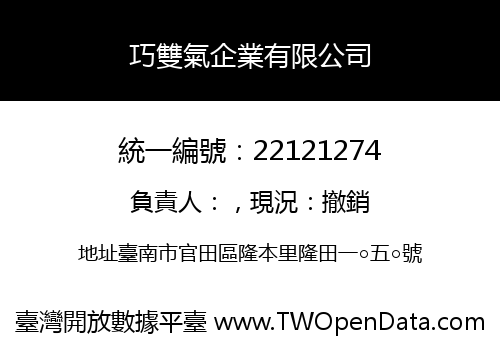 巧雙氣企業有限公司