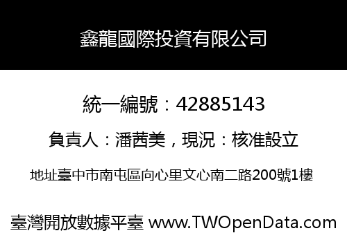 鑫龍國際投資有限公司