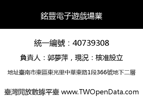 銘豐電子遊戲場業