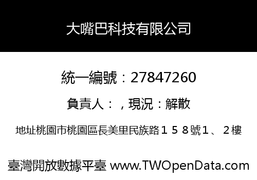 大嘴巴科技有限公司