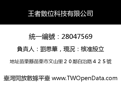王者數位科技有限公司