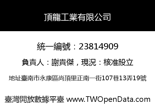 頂龍工業有限公司