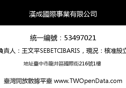 漢成國際事業有限公司
