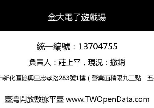 金大電子遊戲場