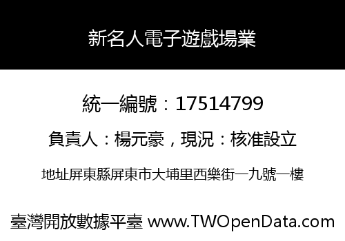 新名人電子遊戲場業