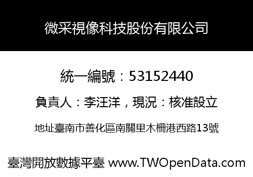 微采視像科技股份有限公司