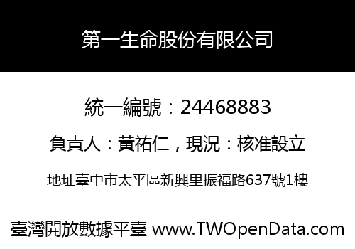 第一生命股份有限公司