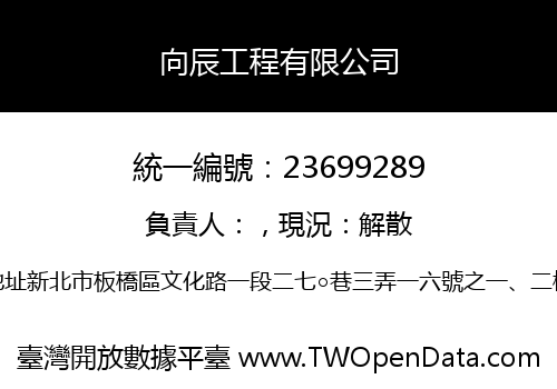 向辰工程有限公司