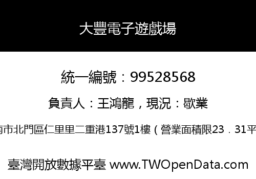 大豐電子遊戲場