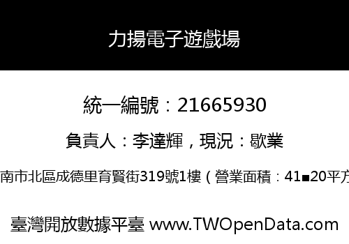 力揚電子遊戲場