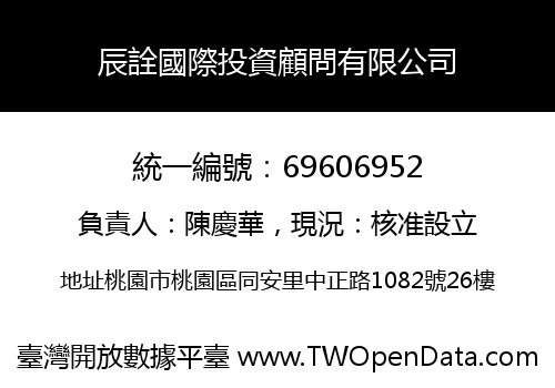 辰詮國際投資顧問有限公司