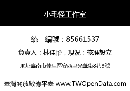 小毛怪工作室