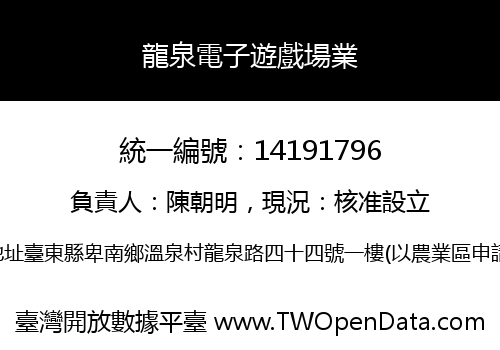 龍泉電子遊戲場業