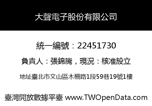 大聲電子股份有限公司
