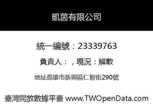 凱茵有限公司