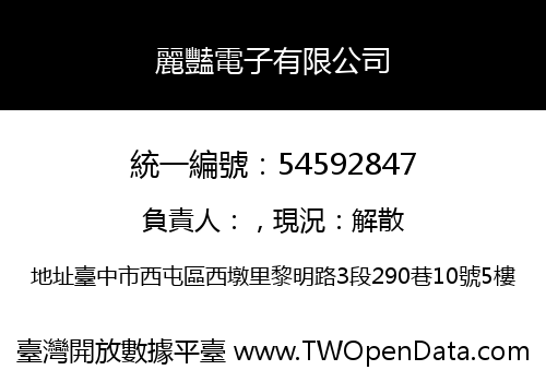 麗豔電子有限公司