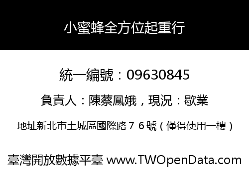 小蜜蜂全方位起重行