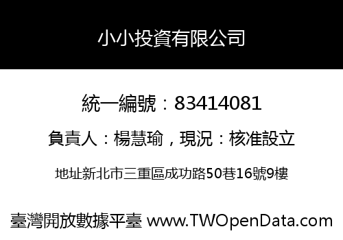 小小投資有限公司