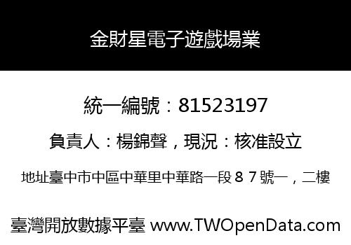 金財星電子遊戲場業
