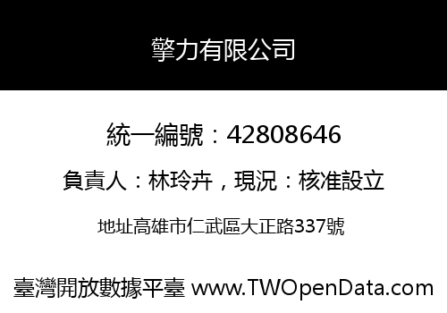 擎力有限公司