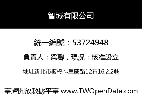 智城有限公司